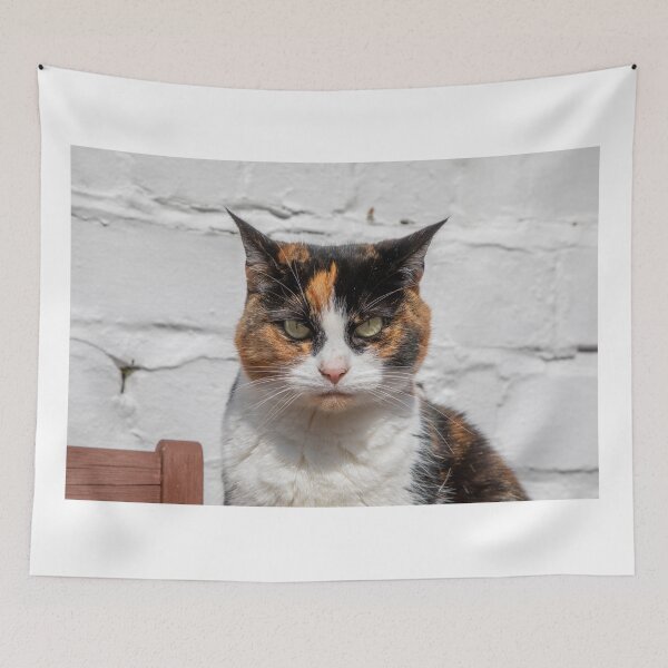 Item preview, Cat With a Grumpy Face designed and sold by LizzieMaher.