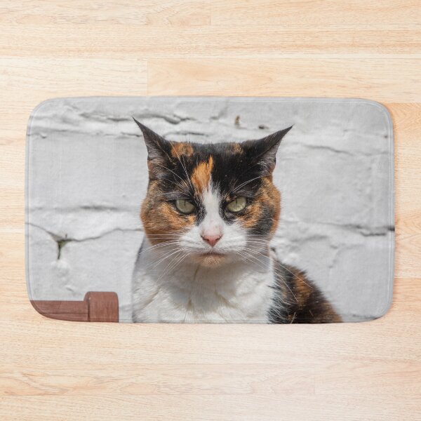 Item preview, Cat With a Grumpy Face designed and sold by LizzieMaher.