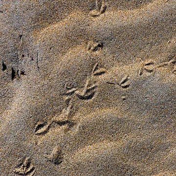 Artwork thumbnail, foot steps by RoryTrudeau