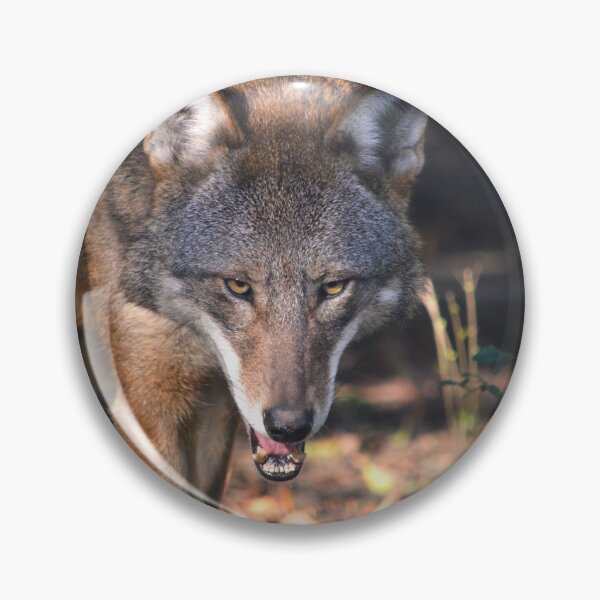 Item preview, Red Wolf 3 designed and sold by Nature's Reflections.