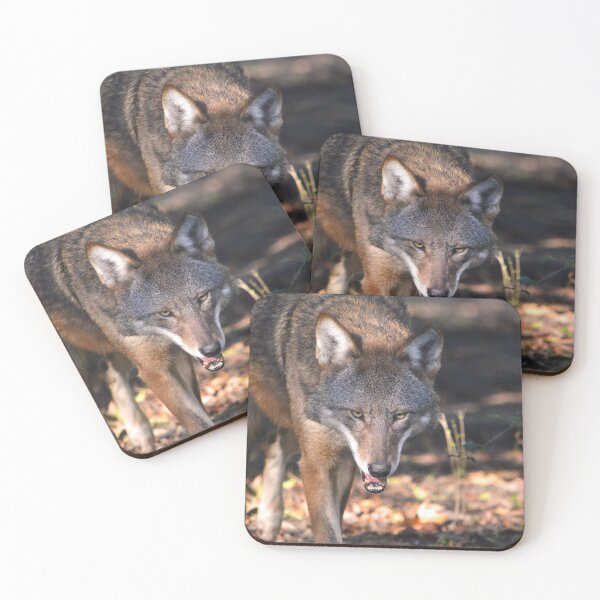 Item preview, Red Wolf 3 designed and sold by Nature's Reflections.