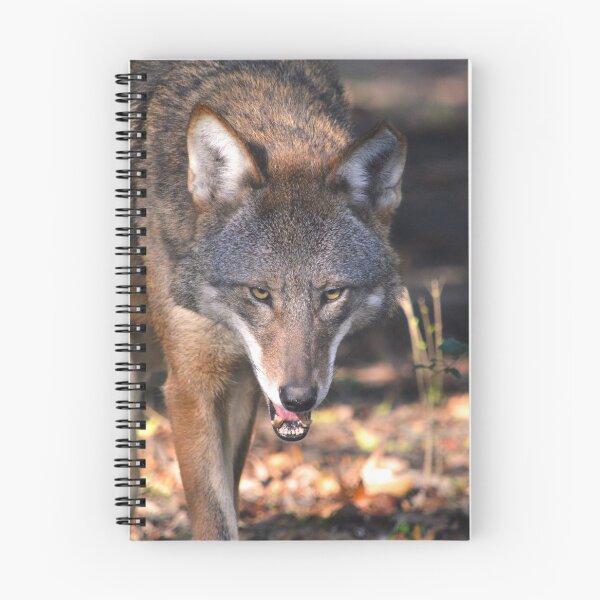 Item preview, Red Wolf 3 designed and sold by Nature's Reflections.