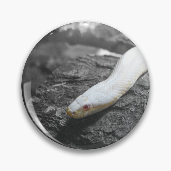 Item preview, Albino Corn snake designed and sold by Nature's Reflections.