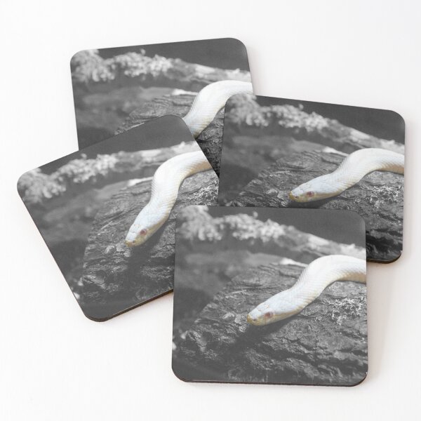 Item preview, Albino Corn snake designed and sold by Nature's Reflections.