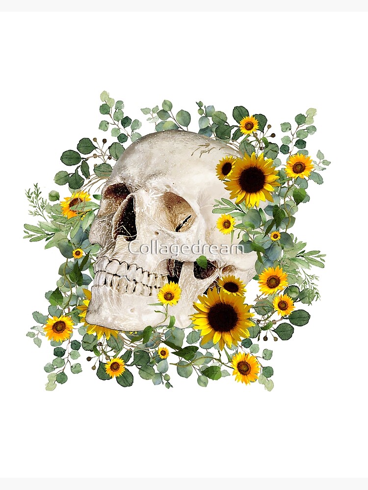 Lámina rígida «Cráneo floral amarillo, anatomía humana y girasoles acuarela  primavera, fresco, arte de anatomía» de Collagedream | Redbubble