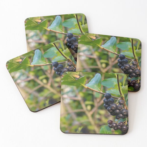 Item preview, Group of chokeberry berries on a branch designed and sold by Mahirov Shop.