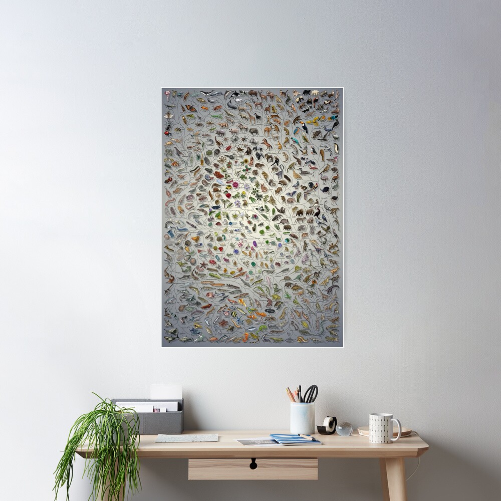 Tree of Life Poster - Animal and Plant Evolution - Colour (English Annotations others available) with background Poster