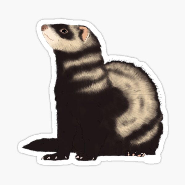 Item preview, Ferret designed and sold by Micromiek.