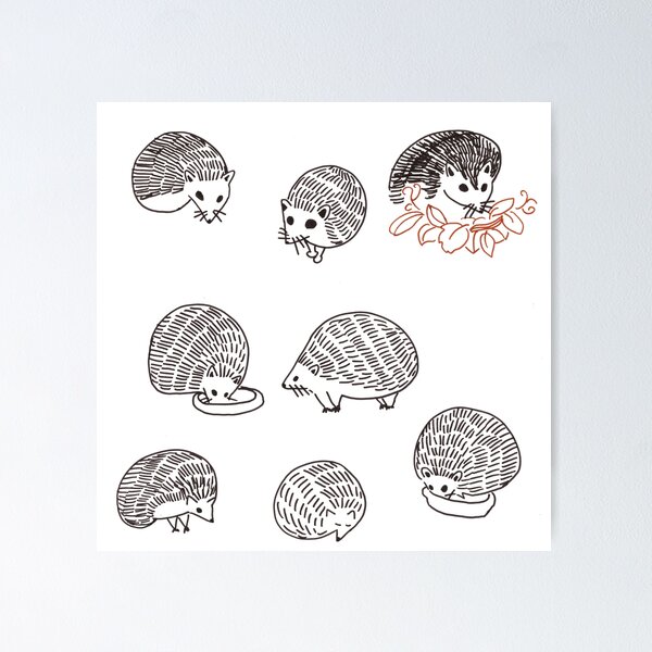 Hedgehog Face Funny Hair Cut Cute  Poster for Sale by alenaz