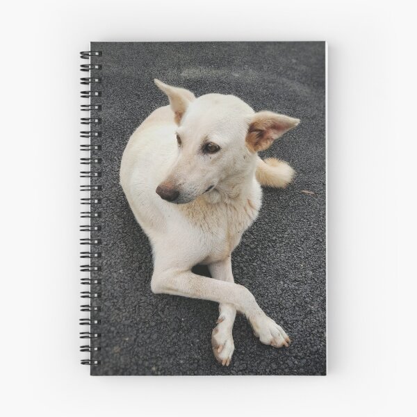 Item preview, photogenic dog designed and sold by AmigurumiShop.