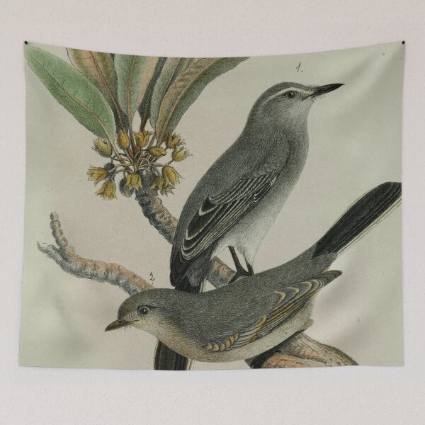 Item preview, chubby cockatiel designed and sold by AllPerfect.