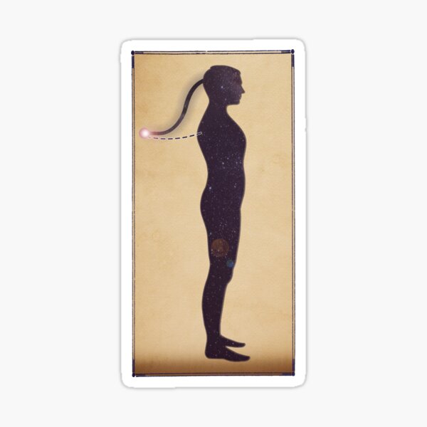 Plait Print by Elevens Design Sticker