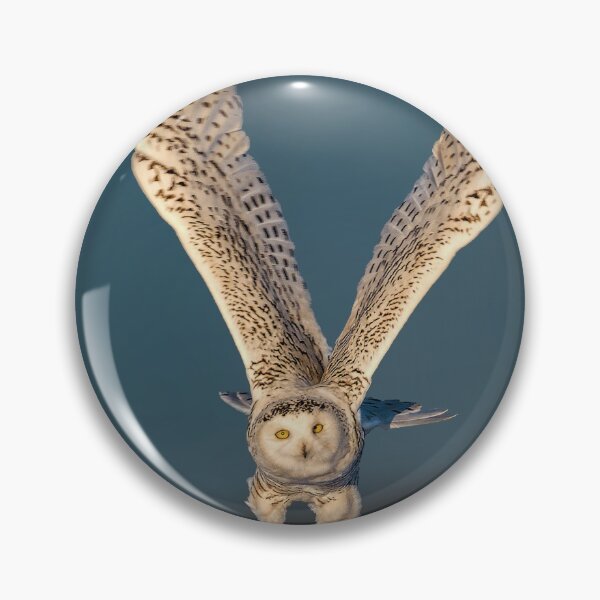 Item preview, Snowy Owl on the Attack  designed and sold by david parry.
