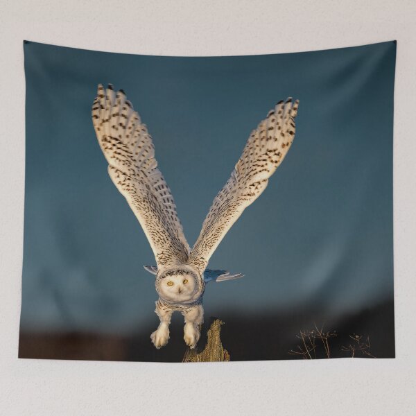 Item preview, Snowy Owl on the Attack  designed and sold by david parry.