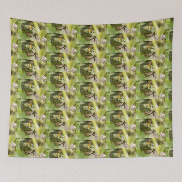 Item preview, Frog with a Crown designed and sold by miss-u.