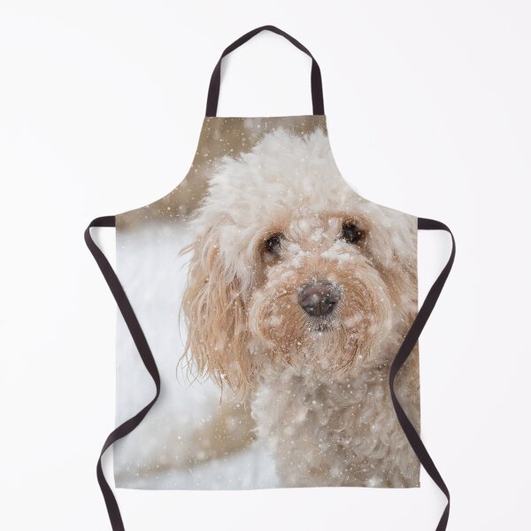 Item preview, A beautiful Cockapoo in the snow designed and sold by CarpenterPhoto.