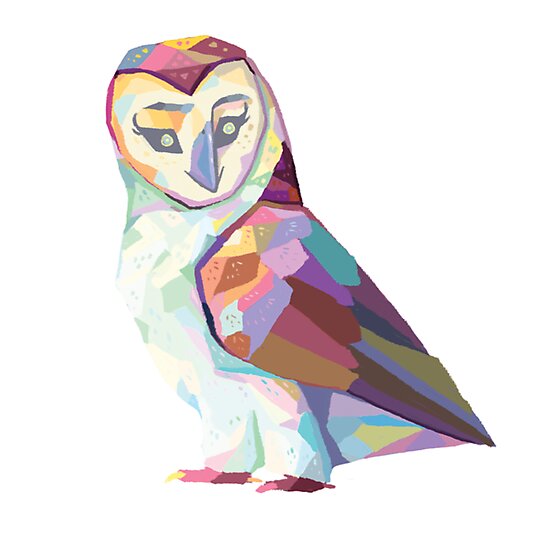 Geometric Owl Photographic Prints By Vintagesoap Redbubble