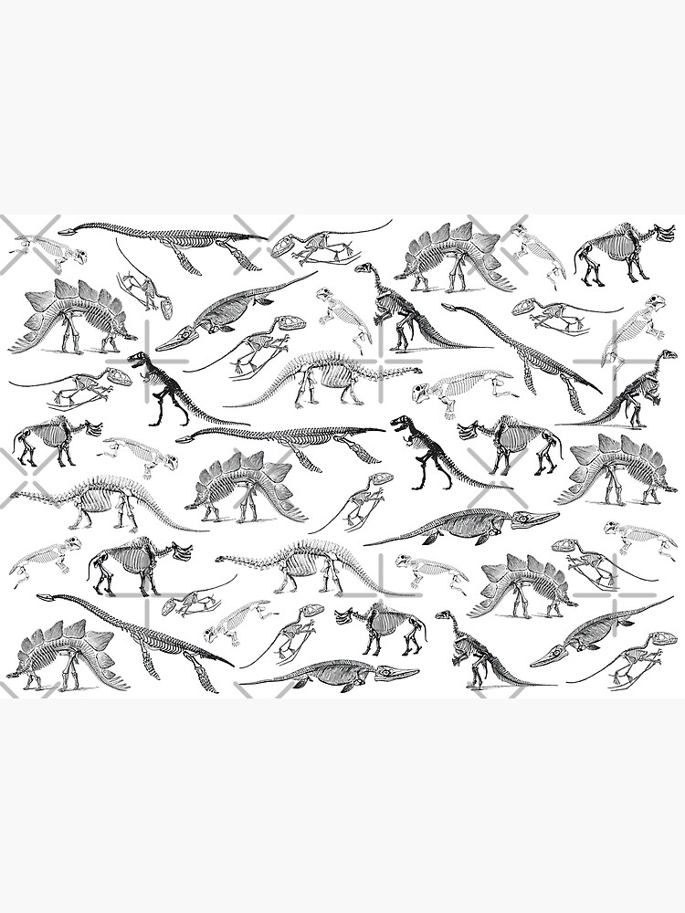"Black and white dinosaur skeleton fossils pattern" Poster for Sale by