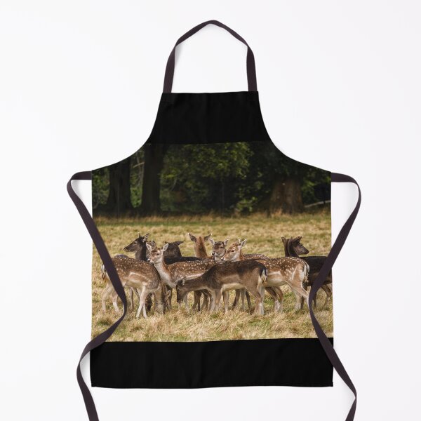 Item preview, A deer herd in Phoenix Park, Dublin, Ireland designed and sold by AlbertMi.