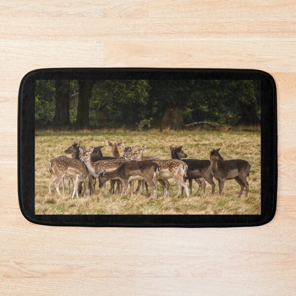 Item preview, A deer herd in Phoenix Park, Dublin, Ireland designed and sold by AlbertMi.