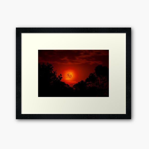 Framed Print