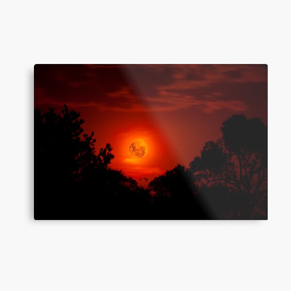 Metal Print