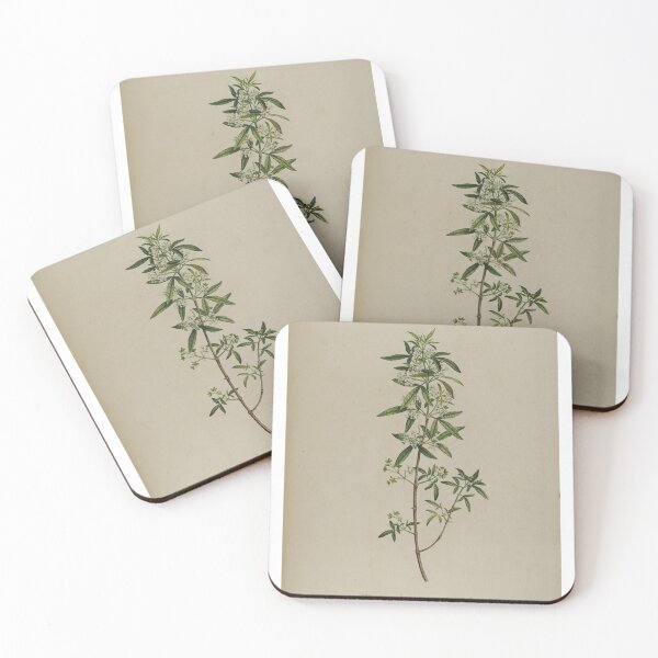 Item preview, vintage botanical designed and sold by Txxmstore.
