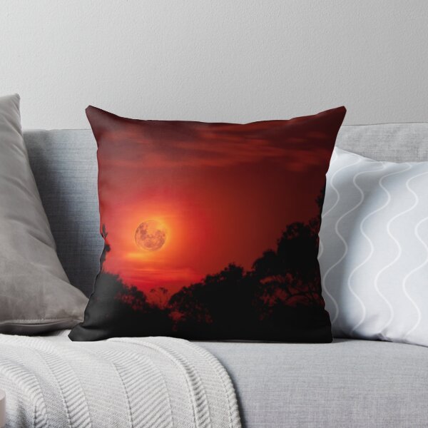 Throw Pillow