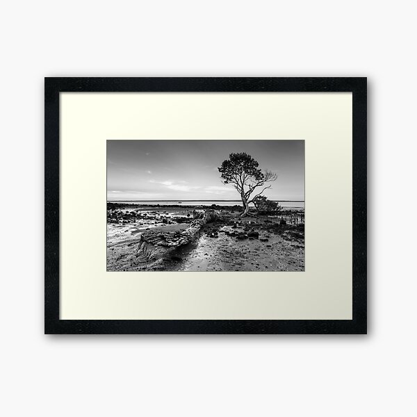 Tenby Point - Mangrove Sunset Black and White Framed Art Print