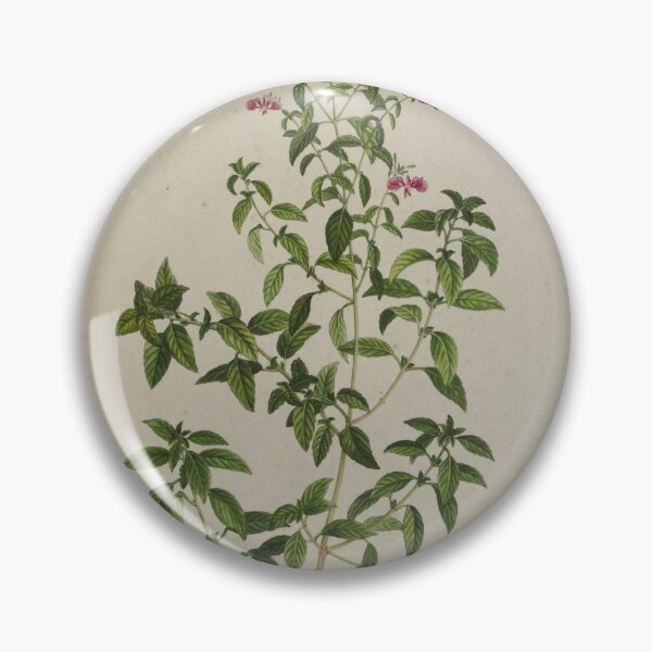 Item preview, Vintage Botanical Illustration 044 designed and sold by Txxmstore.