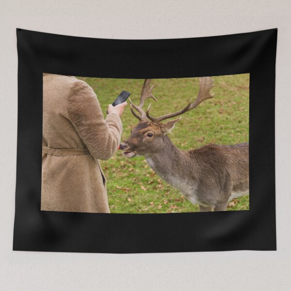Item preview, A woman is photographing a portrait of a friendly deer in Phoenix Park, Dublin, Ireland designed and sold by AlbertMi.