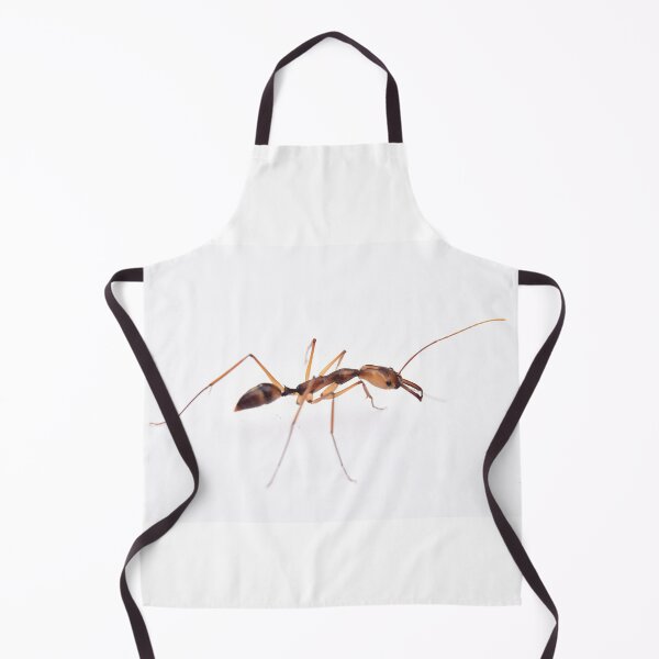 Item preview, Odontomachus Hastatus designed and sold by BaptisteBen.