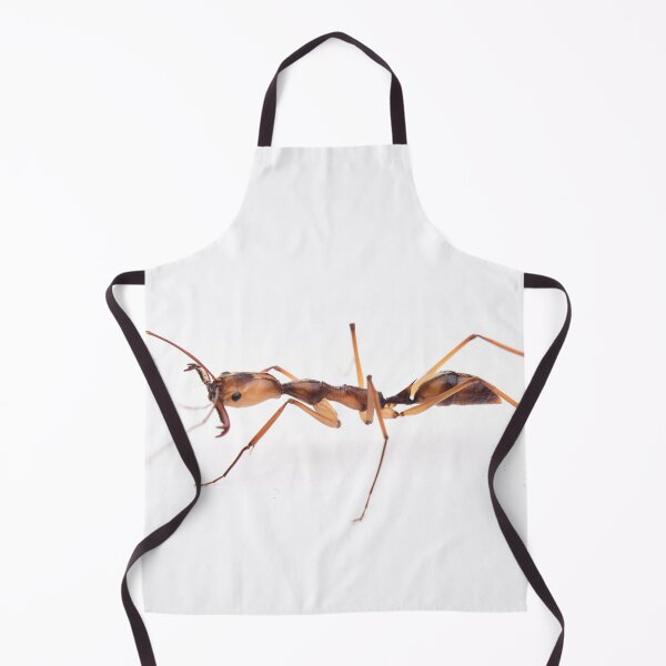 Item preview, Odontomachus hastatus designed and sold by BaptisteBen.