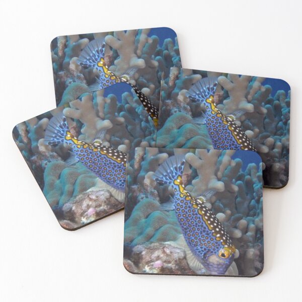 Item preview, Beautiful fish. designed and sold by Lan thi Nguyen.