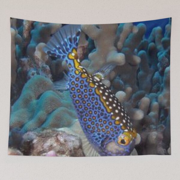 Item preview, Beautiful fish. designed and sold by Lan thi Nguyen.