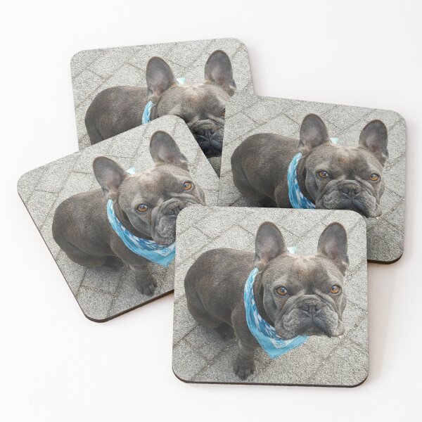 Item preview, French bulldog while modeling designed and sold by vibeno1.