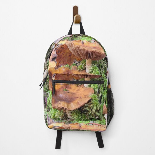 Artikelvorschau, Pilz im Wald entworfen und verkauft von Totallyalive.