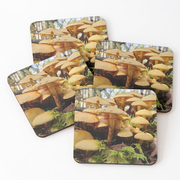 Artikelvorschau, Pilz im Wald entworfen und verkauft von Totallyalive.