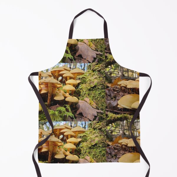 Artikelvorschau, Pilz im Wald entworfen und verkauft von Totallyalive.