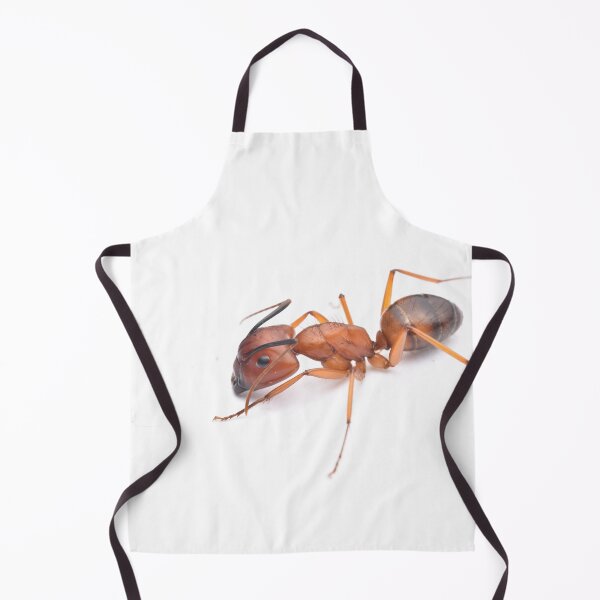 Item preview, Camponotus conspicuus designed and sold by BaptisteBen.