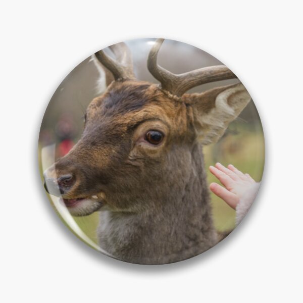 Item preview, Blonde girl playing with a friendly deer in Phoenix Park, Dublin, Ireland designed and sold by AlbertMi.
