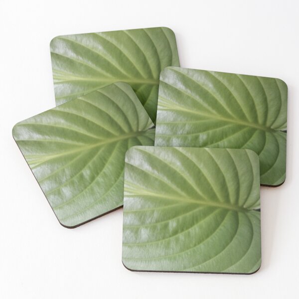 Item preview, Hosta Leaf Photo 1 designed and sold by Cats-And-Kat.