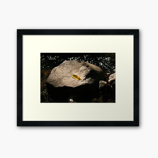 Yellow leaf on a rock in stream Framed Art Print