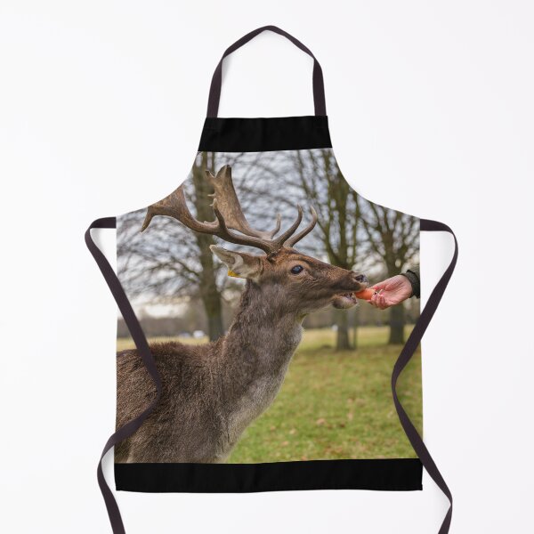 Item preview, The woman feeds the deer in Phoenix Park, Dublin, Ireland designed and sold by AlbertMi.