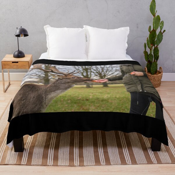 Item preview, The woman feeds the deer in Phoenix Park, Dublin, Ireland designed and sold by AlbertMi.