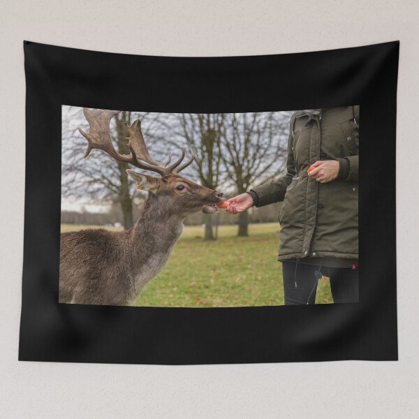 Item preview, The woman feeds the deer in Phoenix Park, Dublin, Ireland designed and sold by AlbertMi.