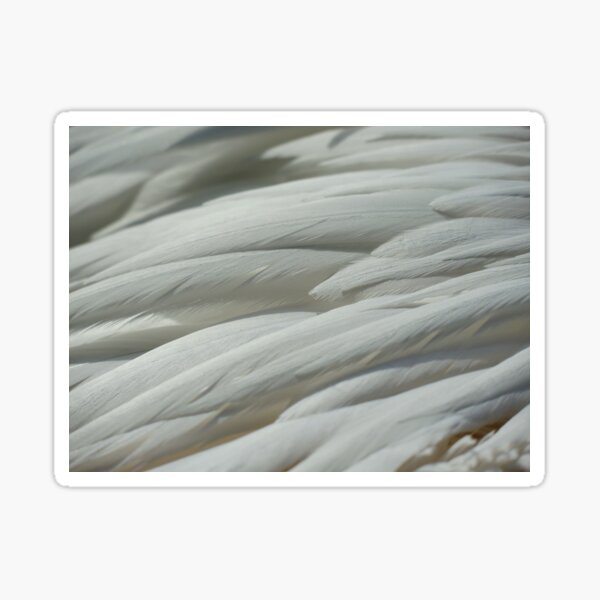 Abstract feathers Sticker