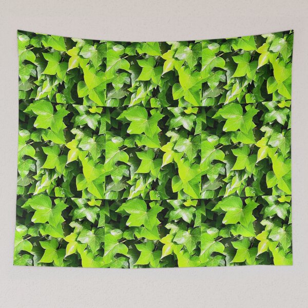 Item preview, Evergreen designed and sold by MyTshirtArt.