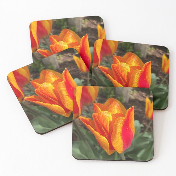 Item preview, Spring’s Tulips  designed and sold by miss-u.