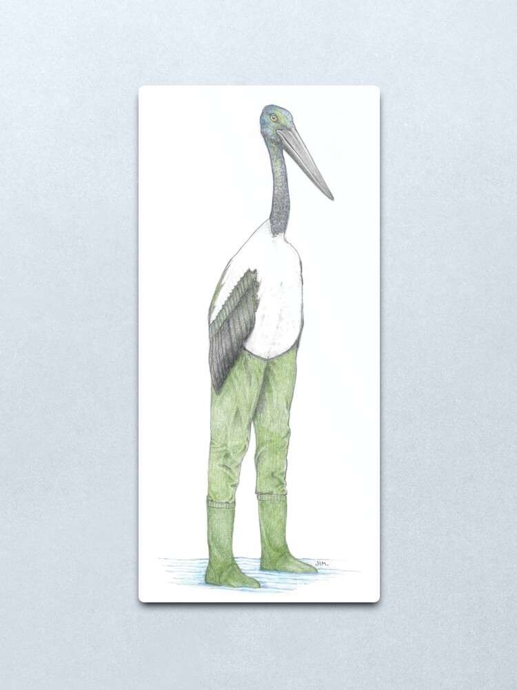 Alternate view of Black Necked Stork in Hip Waders Metal Print